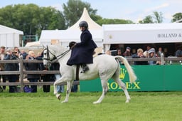 S29_1918 2026