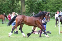 J36_7026 2026