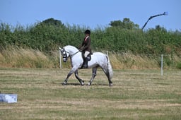 S60_0582 2026