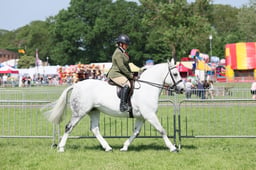 C34_0999 2026