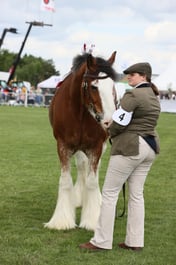 E36_2002 2026