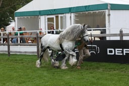W29_0964 2026