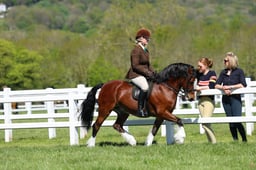 H19_0347 2026