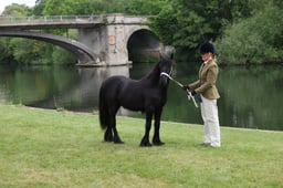 L29_9870 2026