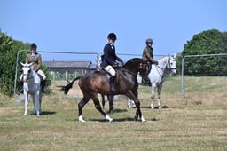 S60_0604 2026