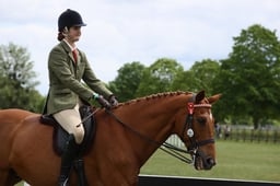 E31_2006 2026