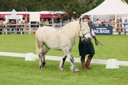 S29_0643 2026