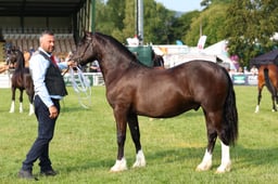 E69_0503 2026