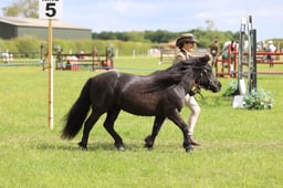 J36_7733 2026