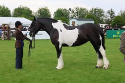 S28_9526 2026