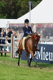 S31_5954 2026