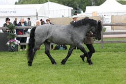 W29_0678 2026