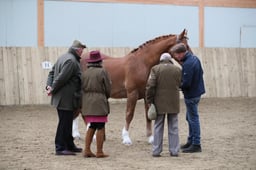 Bowland Corbett's Lad