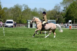 M19_0469 2026