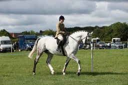 E36_0664 2026