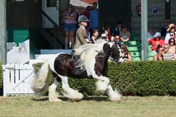 S61_0748 2026