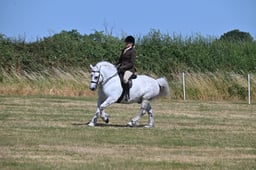 S60_0564 2026