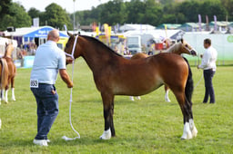 E69_0951 2026