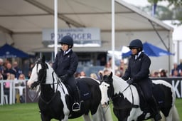 MEGS3996 2026