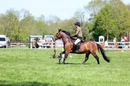M19_0486 2026
