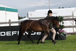 W29_0458 2026