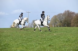 123 Blackwoodlands Jester & Bobby