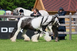 S28_9347 2026