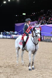 Pony Foxhunter Championships