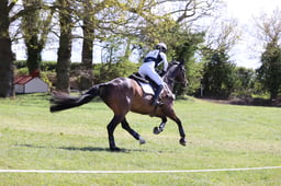 E16_6786 2026