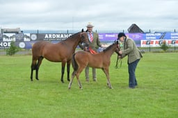 N45_0931 2026