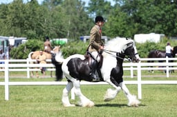 Z42_3860 2026
