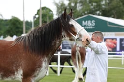 M44_0668 2026