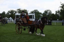 E28_3802 2026
