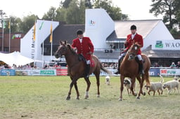 Parade of Hounds