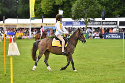 R39_1796 2026