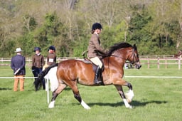 C19_0463 2026