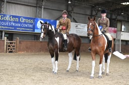 45 BSPA RIHS Pie & Skew Plaited Horses