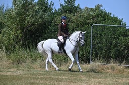 S60_0736 2026