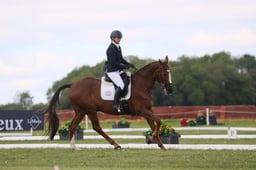 A20_1294 2026