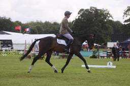 77 RAPIDO VD WATERMOLEN