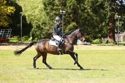A27_4394 2026