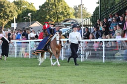 02 Junior Concours Lead Rein