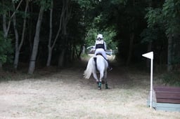 C56_0669 2026