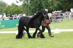 W29_1059 2026