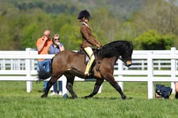H19_0622 2026