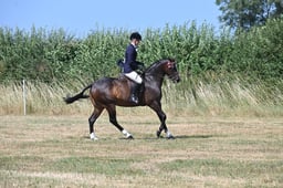 S60_0603 2026