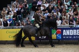 M&M Ridden Highland Pony of the Year