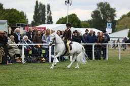 E30_4612 2026