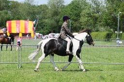 C33_1470 2026