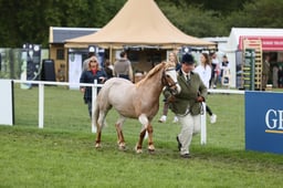 E31_0825 2026